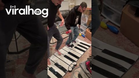Musician Roommates Play Giant Floor Piano || ViralHog