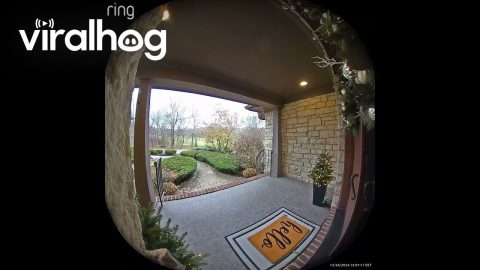 When The Kids Won't Stop Throwing The Ball In The House || ViralHog