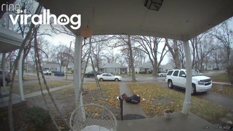 Girl Slips and Takes a Hard Fall While Heading Out || ViralHog