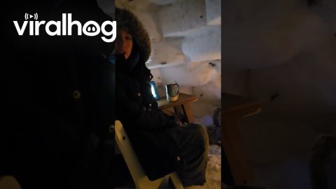 Ice Dragon Igloo || ViralHog