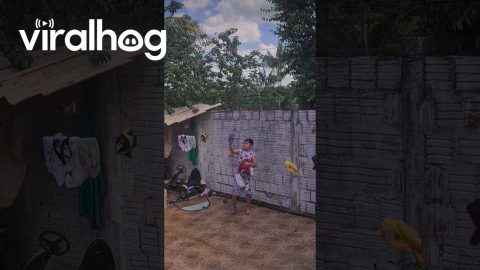Laundry Falls Off Clothesline || ViralHog
