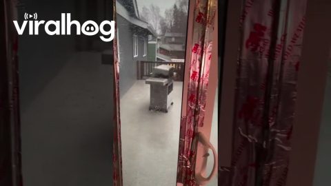 Grill Carried Away By Extreme Winds || ViralHog