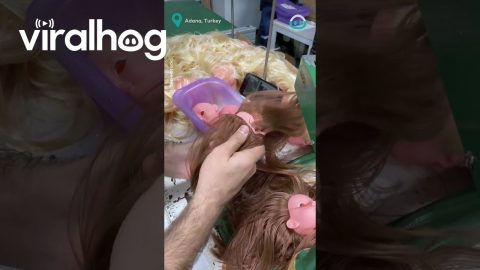 Sewing Doll's Hair into Place || ViralHog