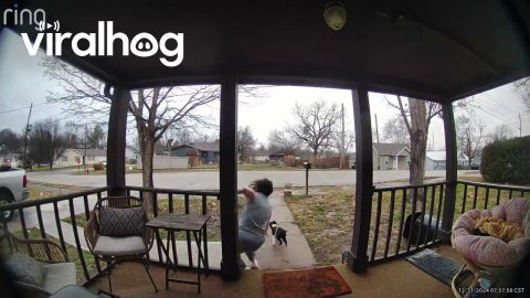 Starting New Years With Hurt Foot || ViralHog