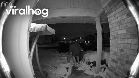 Shorts in Snow Leads to Slip || ViralHog
