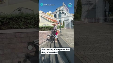 Getting A Stroller Up The Stairs Easily || ViralHog