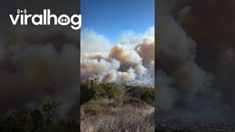Overlooking Palisades Fire From Topanga State Park || ViralHog