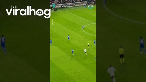 Paper Airplane Flies To The Goal During Soccer Match || ViralHog