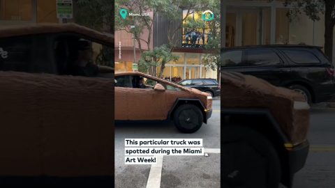 Furry Car || ViralHog