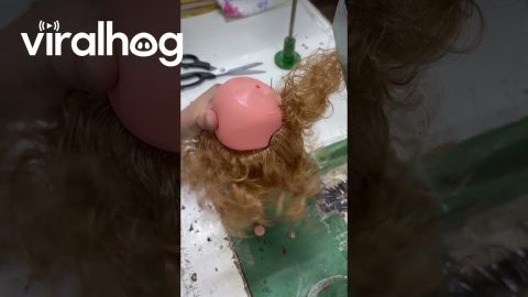 Sewing Hair Onto a Doll's Head || ViralHog