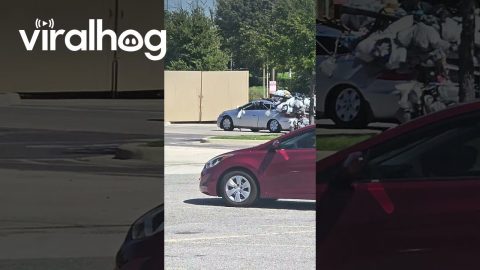 Car's Inventory Is Over Encumbered || ViralHog