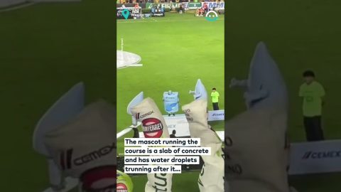 Halftime Show Mascots Take on Obstacle Course || ViralHog