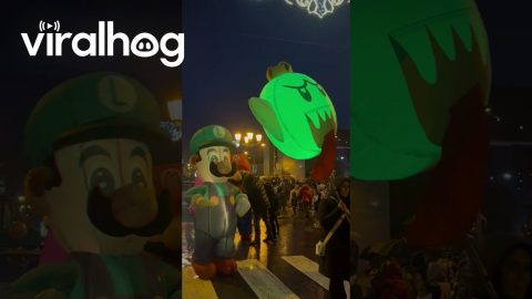 Famous Brother Deflates During Parade || ViralHog