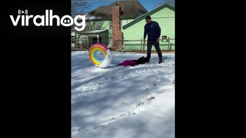 First Snowday Faceplant || ViralHog