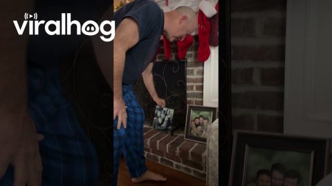 How Long Did It Take Dad to Notice All of His Gifts? || ViralHog