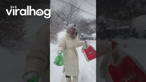 Snowy Norwegian Garbage Run || ViralHog
