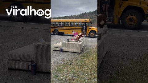 Dad Embarrasses Daughters With Outdoor Movie Setup || ViralHog