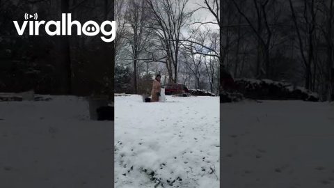 Ninja Turtle Snowman || ViralHog