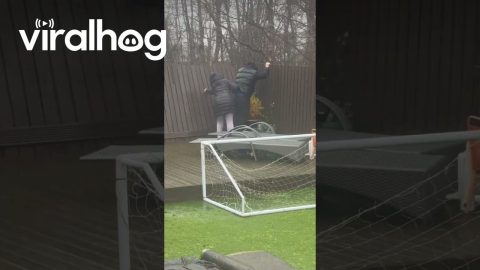 Fence vs Parents || ViralHog