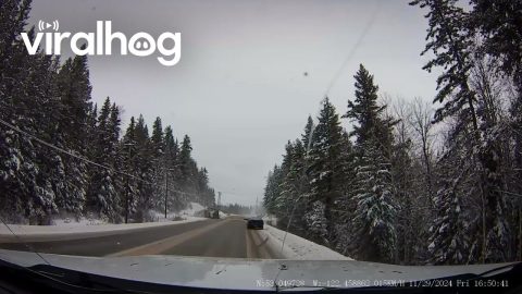 Semi Truck Does Partial Rollover || ViralHog