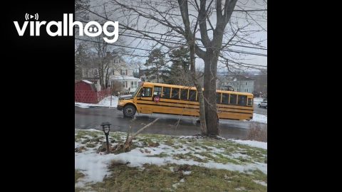 School Bus Is No Match for Icy Hill || ViralHog