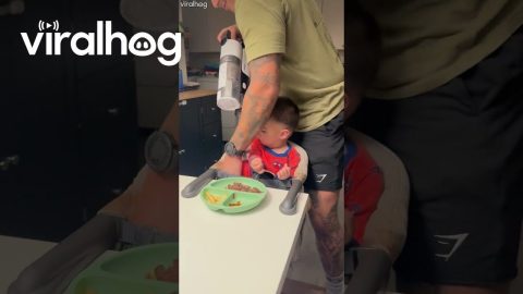 New Parenting Hack || ViralHog