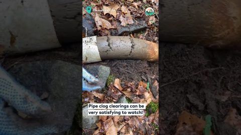 Satisfying Pipe Clog Clearing || ViralHog