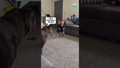 Adorable Baby Bash Plays with Dog Bestie || ViralHog