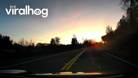 Truck Driver Fails To See Turning Car || ViralHog