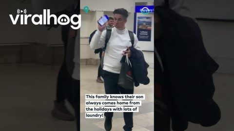 A Washing Machine Greet At The Airport || ViralHog