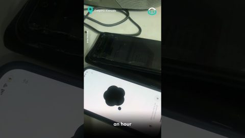 AI Voice Assistant Talks to Persistent Seller || ViralHog