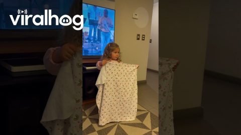 Miniature Magician Misunderstands Disappearing Blanket Trick || ViralHog