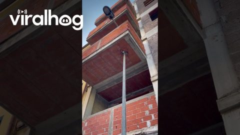 Oddly Placed Pole Looks Like Ingrown Hair || ViralHog