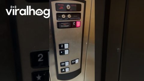 Telemarketers Reach Elevator Phone Line || ViralHog