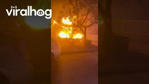 Home Destroyed By Palisades Fire || ViralHog