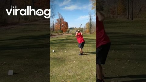 Golf Ball Boomerangs Off Nearby Tree || ViralHog