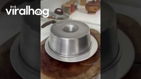 Don't Unmold Hot Pudding || ViralHog