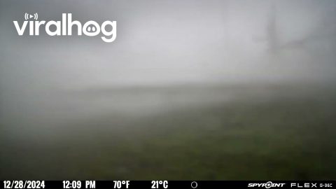 Trailcam Battered By Tornado Winds || ViralHog