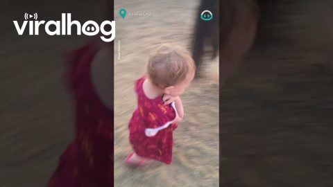 Kiddo Gives Good Night Kisses to Her Horses || ViralHog
