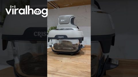 Spring Roll Breakdances Inside Glass Air Fryer || ViralHog