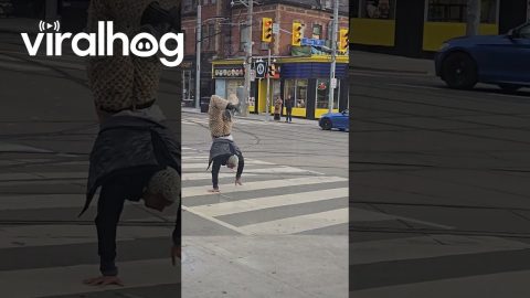 Crosswalk Handstand || ViralHog