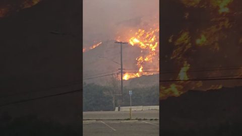 Hillside Panorama of Palisades Fire || ViralHog