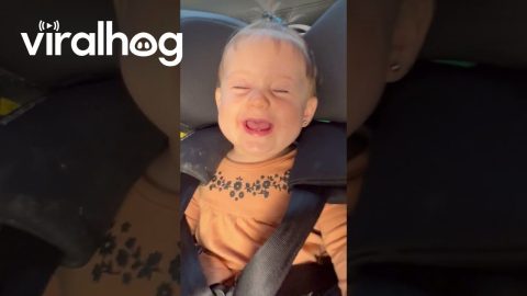 Do The Roar! || ViralHog