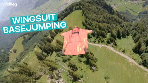 Wingsuit Base Jumping in Switzerland || ViralHog