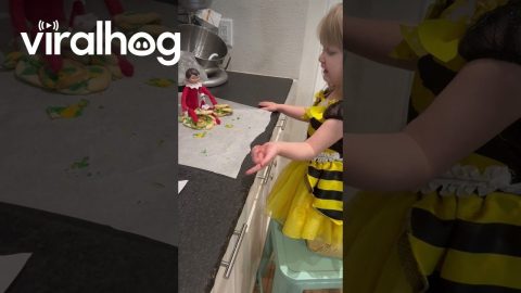 Girl Lectures Elf About Broken Cookies || ViralHog