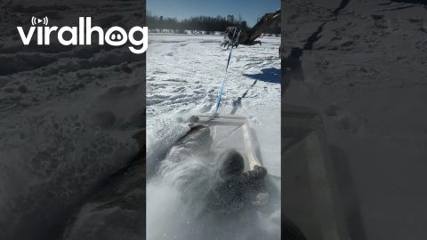 Snow Revelers Craft Makeshift Ride With An Excavator And Cart Top || ViralHog