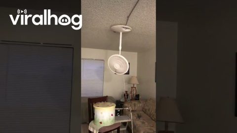Upside-Down Fan || ViralHog