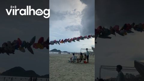 Balloon Salesman Walks Beach || ViralHog