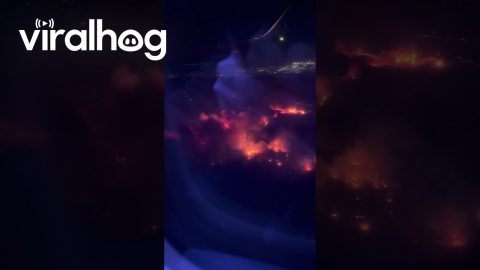 Palisades Fire Seen From Passenger Aircraft || ViralHog