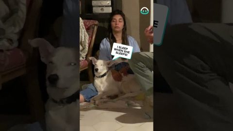 Dog and Dog Mom are ONE || ViralHog